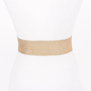 Metal Buckle Metallic Belt