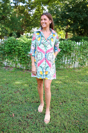 Mint Chinois Shirt Dress -Short