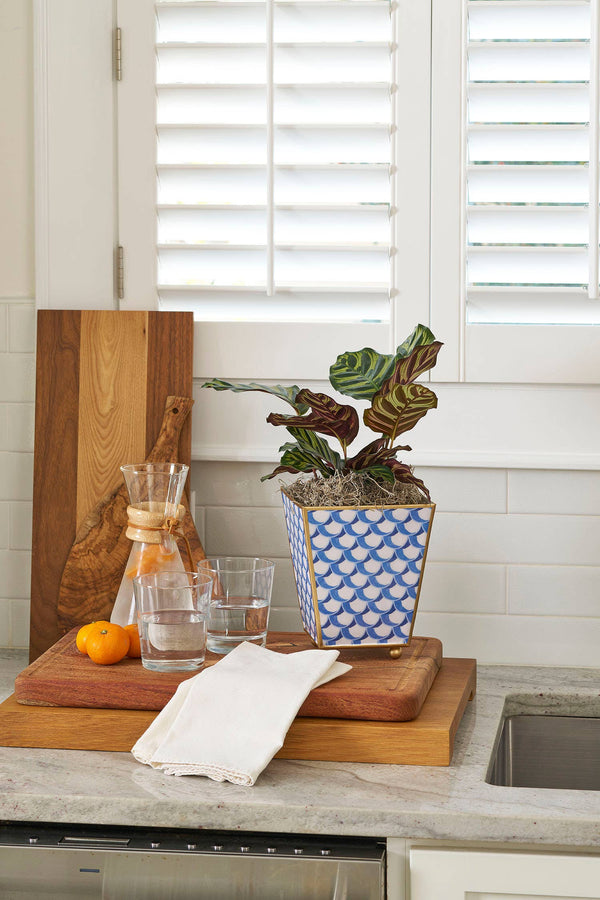 Scales Enameled Square Cachepot Planter