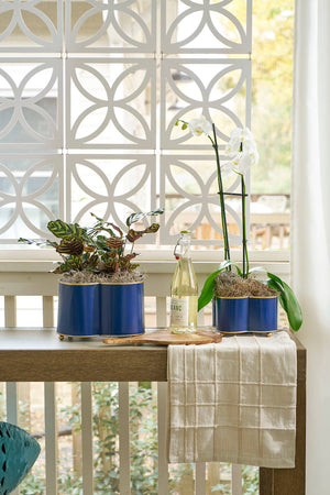 Mattie Quatrefoil Cachepot Planter
