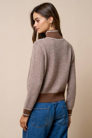 Contrast Trim Turtleneck Knit Sweater