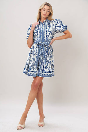 A Printed Woven Mini Dress