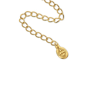 medallion paperclip lariat