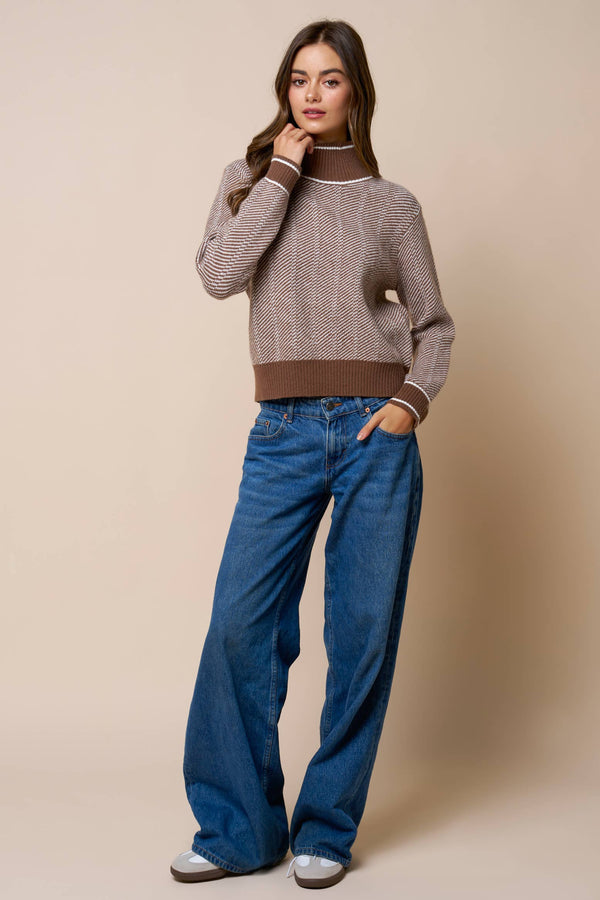 Contrast Trim Turtleneck Knit Sweater